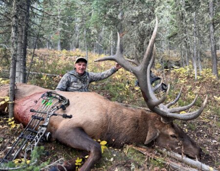 wta_2076_Screenshot 2026-01-06 111649