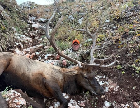 wta_2076_Screenshot 2026-01-06 111736