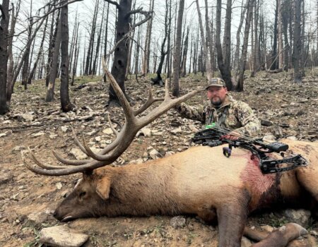 wta_2076_Screenshot 2026-01-06 111750