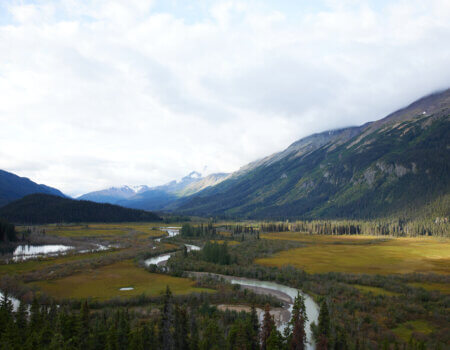 wta_2078_TFC_BC23_sRGB_0118