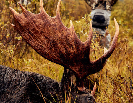 wta_2078_TFC_BC23_sRGB_0588