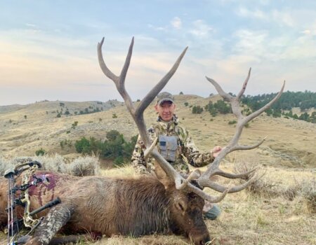 wta_2081_wta_2081_IMG_1538-768x1024