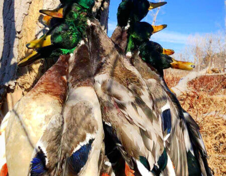 wta_2086_1BA07D97-4BA0-464F-B094-29BCE61EA8B4