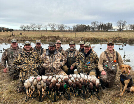 wta_2086_Greenheads