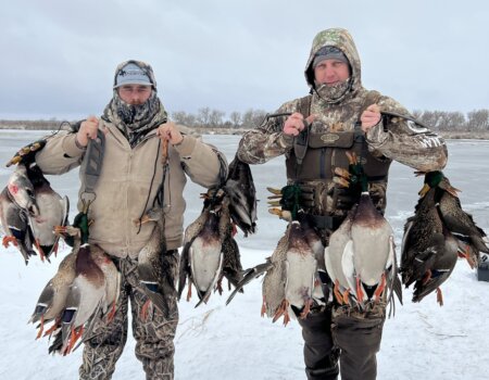 wta_2086_Snow and Ice Duck morning