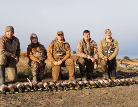 wta_2086_Sunny Greenheads