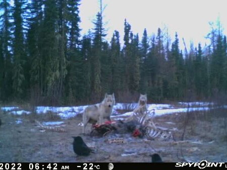 wta_2091_Image-1 (1)