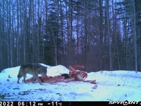 wta_2091_Image-1 (10)