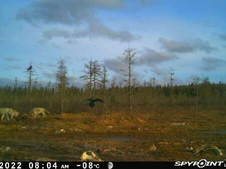 wta_2091_Image-1 (3)