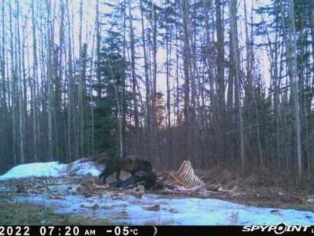 wta_2091_Image-1 (6)