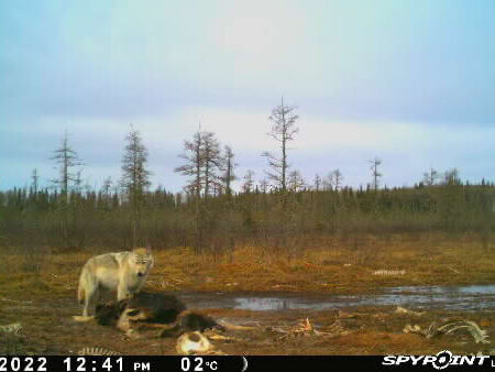 wta_2091_Image-1 (7)