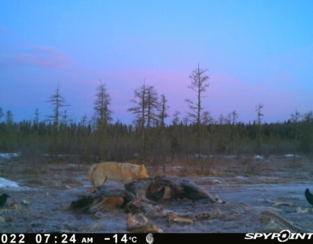 wta_2091_Image-1 (8)