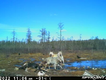 wta_2091_Image-1 (9)