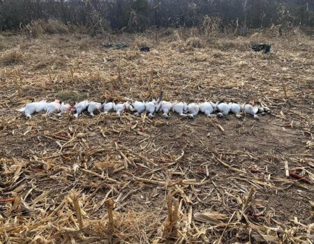 wta_2095_12BFBA71-0C11-4C4B-BB91-4BC86E8DCE78