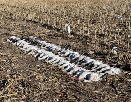 wta_2095_211825D4-A07D-4063-8B50-436D217B016E