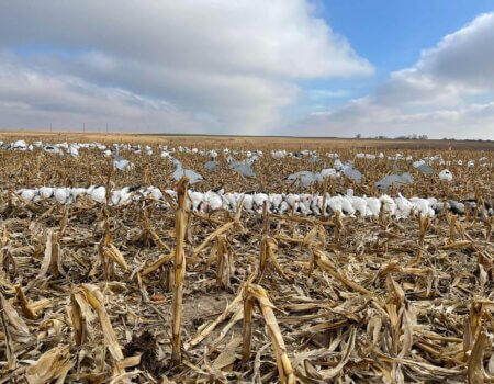 wta_2095_24F87A5D-769C-48E2-B593-BFEFFD25611A