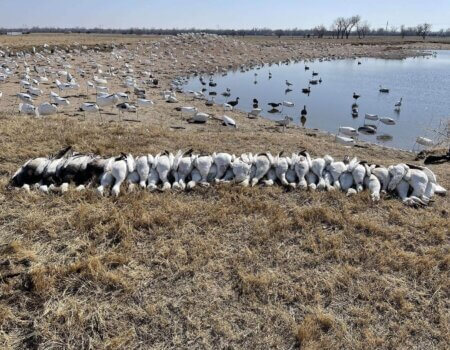 wta_2095_B3C57134-5C1D-4AA3-8B45-D0736B856A92