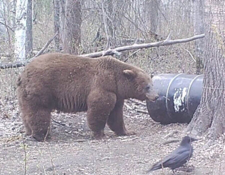 wta_2092_IMG-6238 (2)