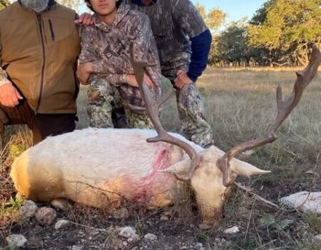 wta_2097_IMG_4512 (1)