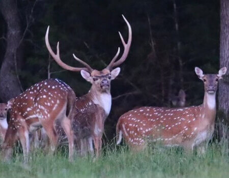 wta_2097_IMG_5670 (1)