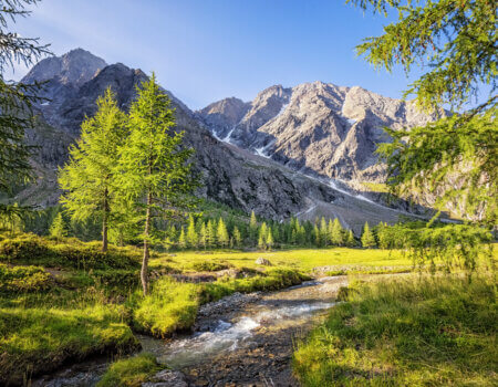 Small river flowing in the alpine valley Gradental in Carinthia