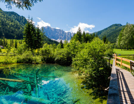 Teich mit Bäumen auf der Alm