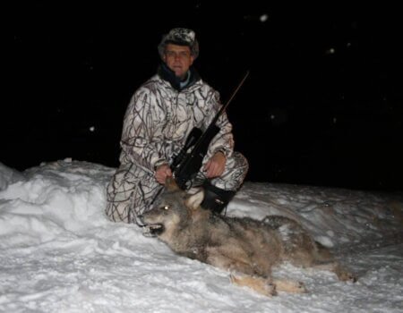 wta_2101_wolf6-scaled