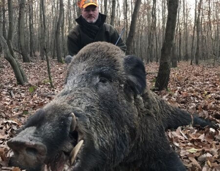 wta_2110_955af09f-8fcc-4676-9f37-40af8799a7f2