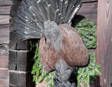 wta_2111_545933c9-8aba-4b38-ac60-41f51b8463c8