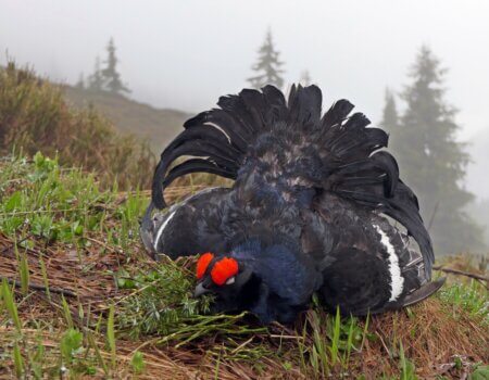 wta_2111_AdobeStock_318970282