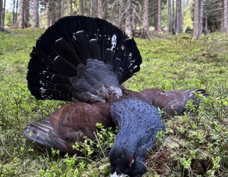 wta_2111_ac221306-28c8-4af5-bf1b-ea1536acd178