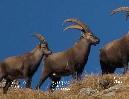 wta_2112_10-6-3 Lableeled