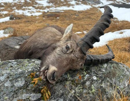 wta_2112_936a2520-1a34-4f57-9bbb-44d63a9823bc