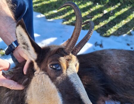 wta_2112_af3ec505-e387-4406-8ea4-7261ccef0423