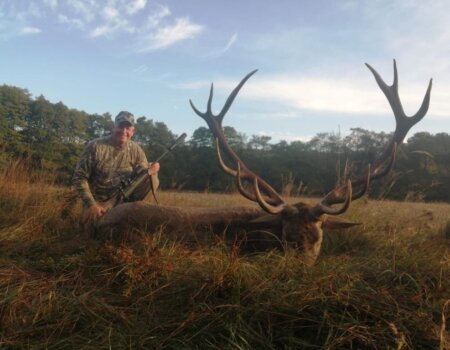 wta_2117_1ed7b3b5-33e4-4322-ba86-c4f3d7ce8ad3