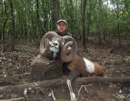 wta_2117_dca1ab8e-9875-4c12-af66-044033c62417