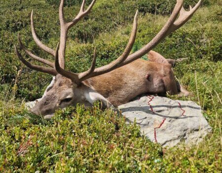 wta_2118_02220639-b9fe-4e7b-90f4-8298ae273713