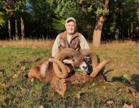 wta_2118_c473c043-0842-4147-910d-558c2cfb1a6b