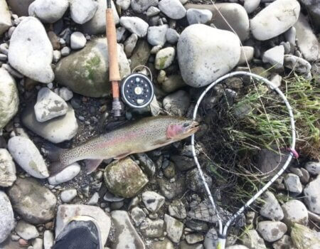 wta_2125_WhatsApp Image 2024-12-30 at 22.15.13