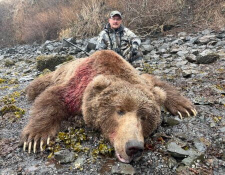 Spring 2024 Brown Bear