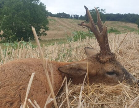 wta_2130_WhatsApp Image 2022-06-22 at 8.54.06 AM (5)