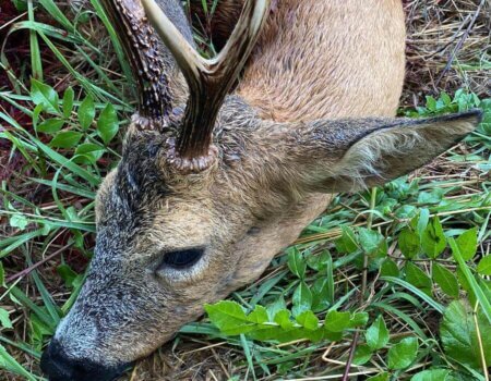 wta_2130_WhatsApp Image 2022-06-24 at 8.02.47 AM