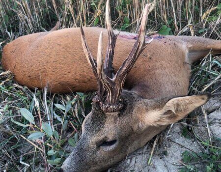 wta_2130_WhatsApp Image 2022-06-24 at 8.03.10 AM