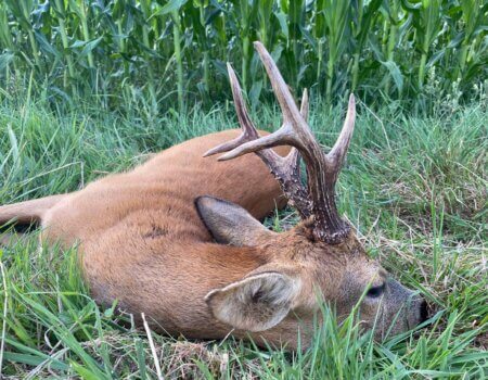 wta_2130_WhatsApp Image 2022-06-24 at 8.03.21 AM