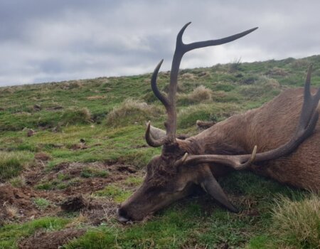 wta_2130_WhatsApp Image 2022-06-24 at 8.44.37 AM