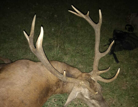 wta_2130_WhatsApp Image 2022-06-24 at 8.44.38 AM (1)