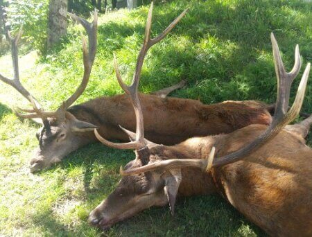 wta_2130_WhatsApp Image 2022-06-24 at 8.44.38 AM