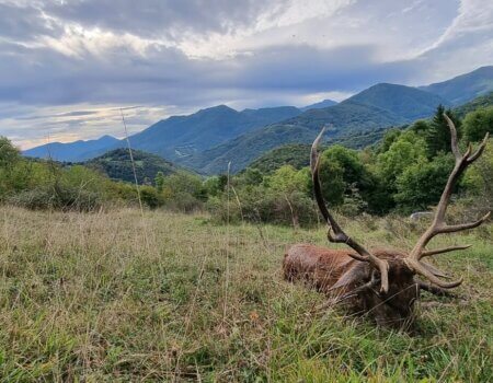 wta_2130_WhatsApp Image 2022-06-24 at 8.45.19 AM (2)