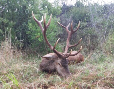 wta_2130_WhatsApp Image 2022-06-24 at 8.45.20 AM (1)