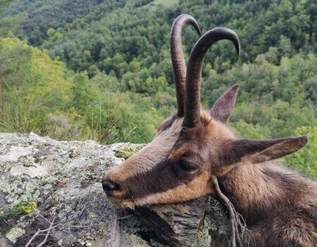 wta_2130_WhatsApp Image 2022-06-24 at 8.51.35 AM